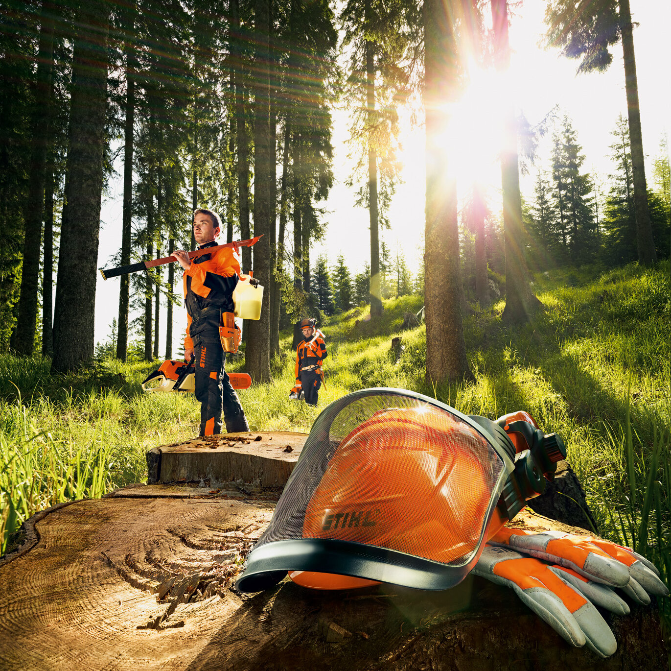 Gamme Pro Bucherons Stihl